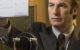 Better call Saul