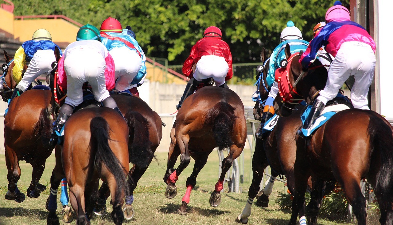 Pferderennen, Jockeys, Pferde von hinten