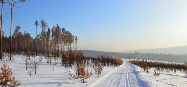 Schnee, Himmel, Bäume