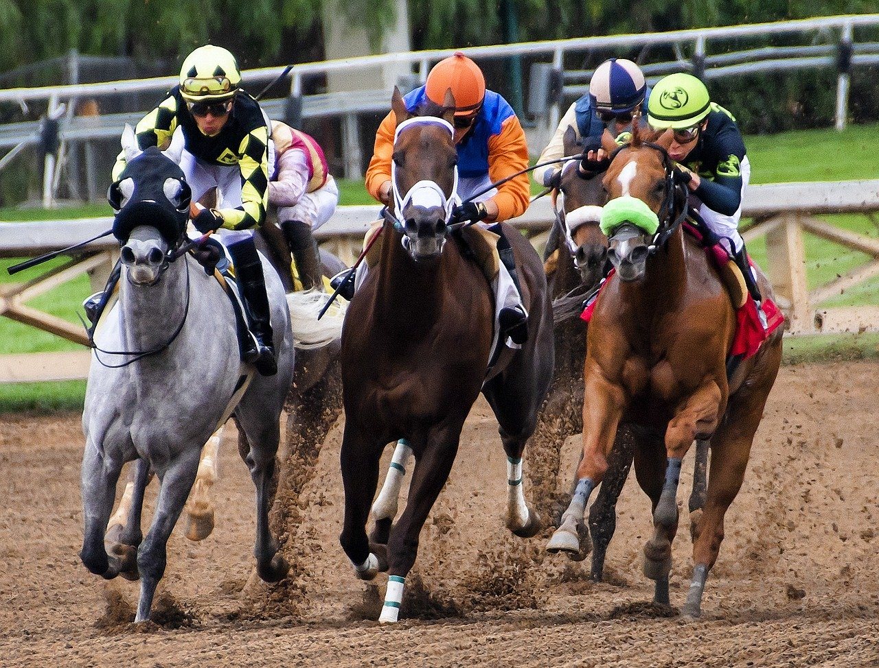 Pferderennen, Pferderennbahn, Jockeys