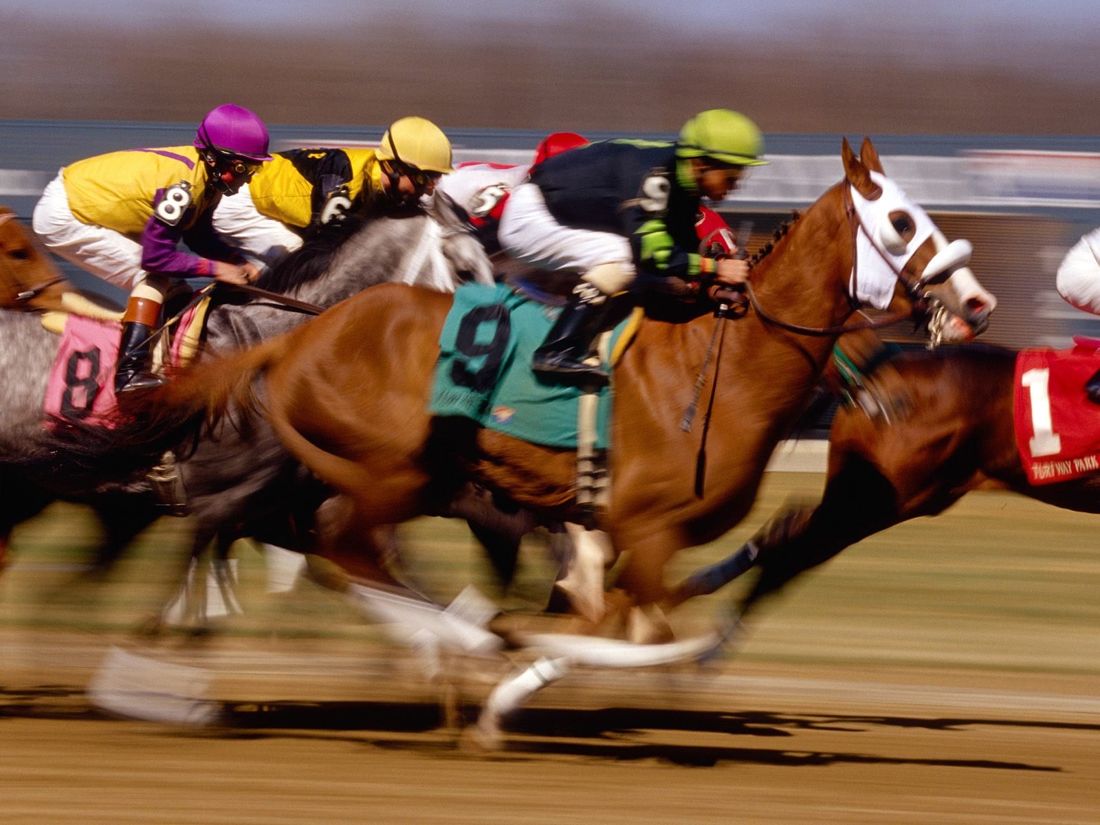  residents to bet on horse races by phone. Image: AZRacing.gov