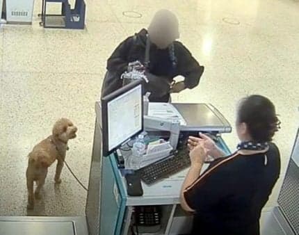 Woman Who Abandoned Dog at Vegas Airport Misses Court