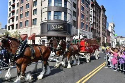 Springfield Sues MGM as Casino Giant Accuses City of Blocking Casino Sale