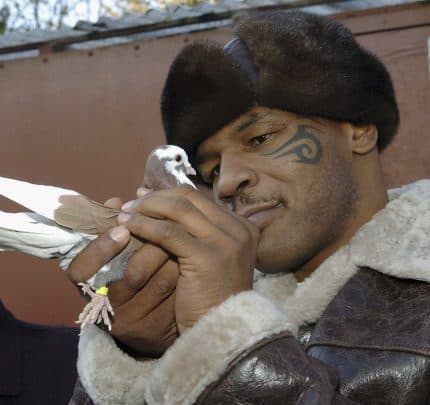 Mike Tyson Sued for $2M After Refusing to Participate in iGaming Promo with Giant Talking Pigeon