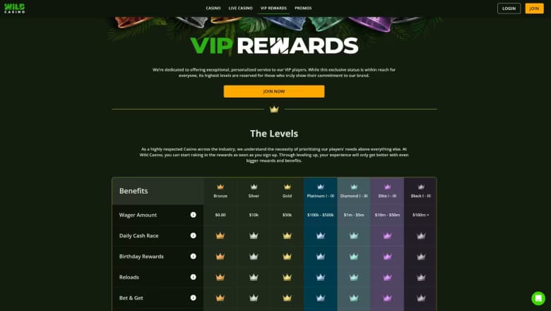 wild-casino-review-4