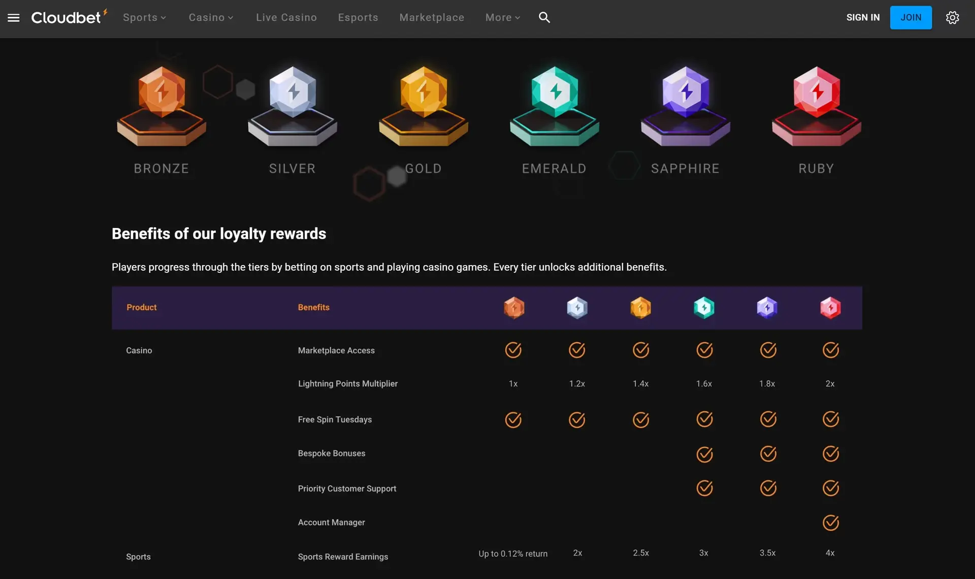 Cloudbet Casino VIP progam