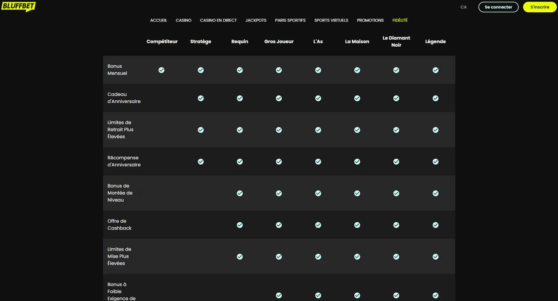Bluffbet loyalty program