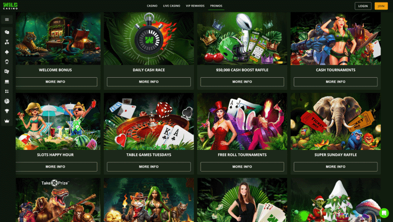 wild-casino-review-3