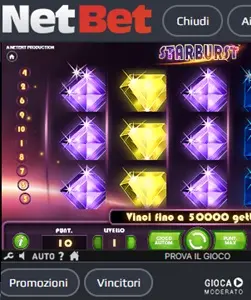 promo-code-netbet-4.jpg