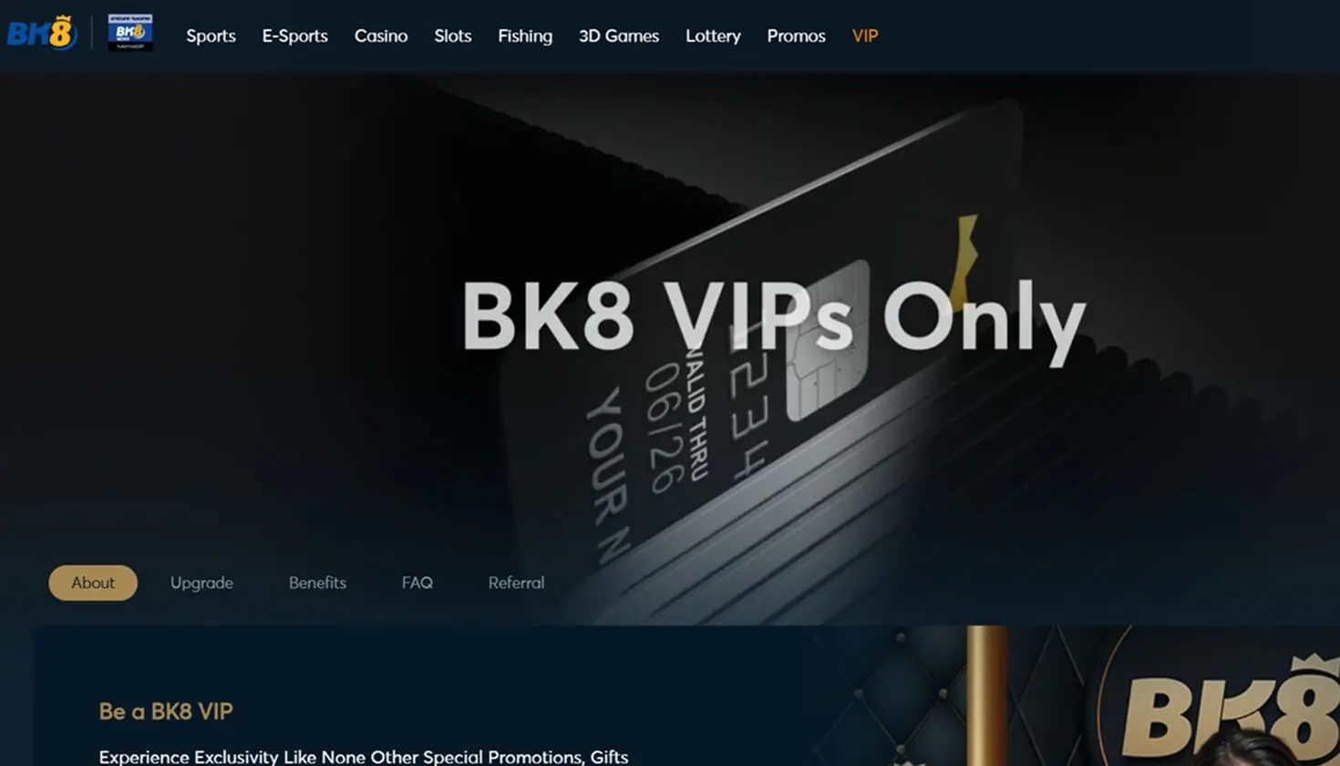 Bk8-SS04-desktop.jpg