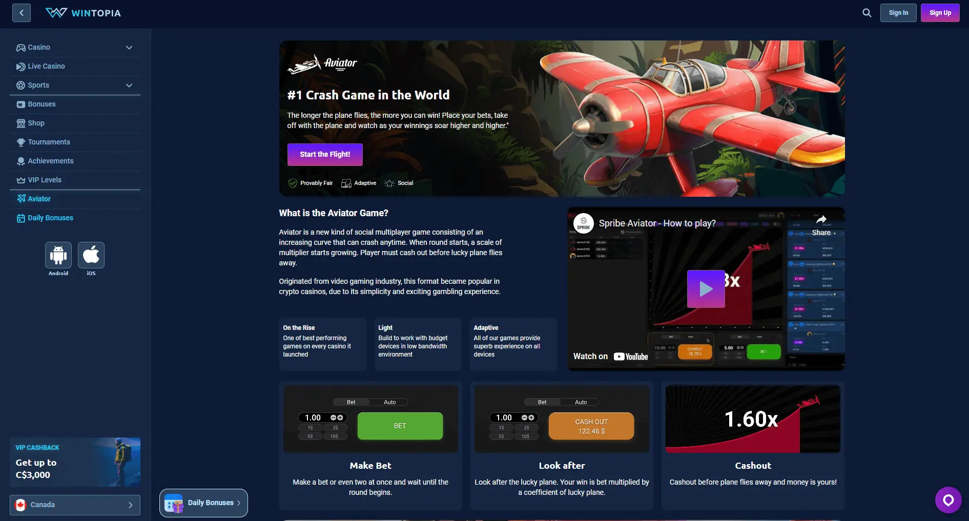 Wintopia aviator.png