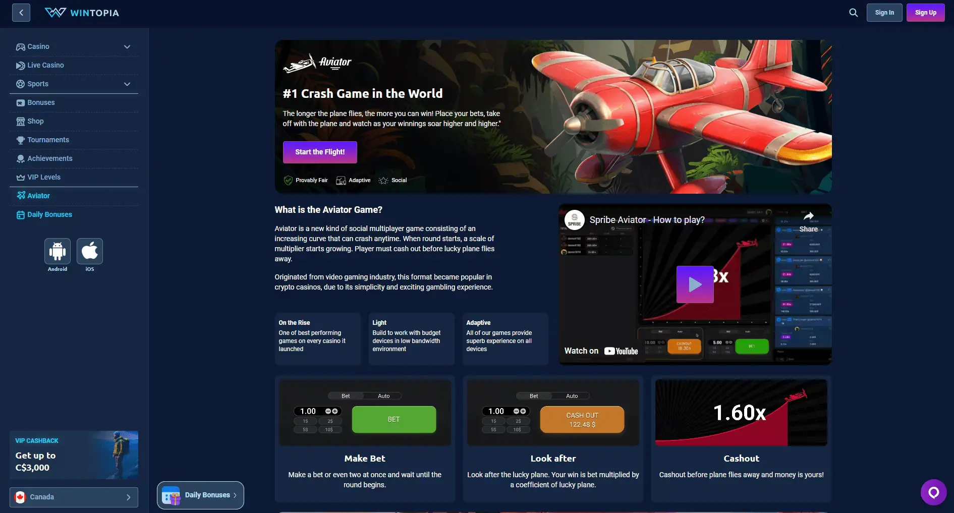 Wintopia aviator.png