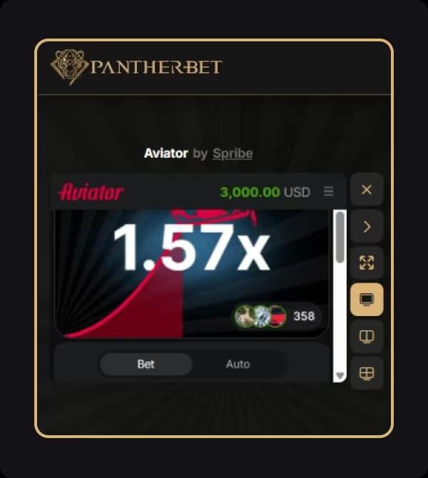 02-pantherbet-za.png