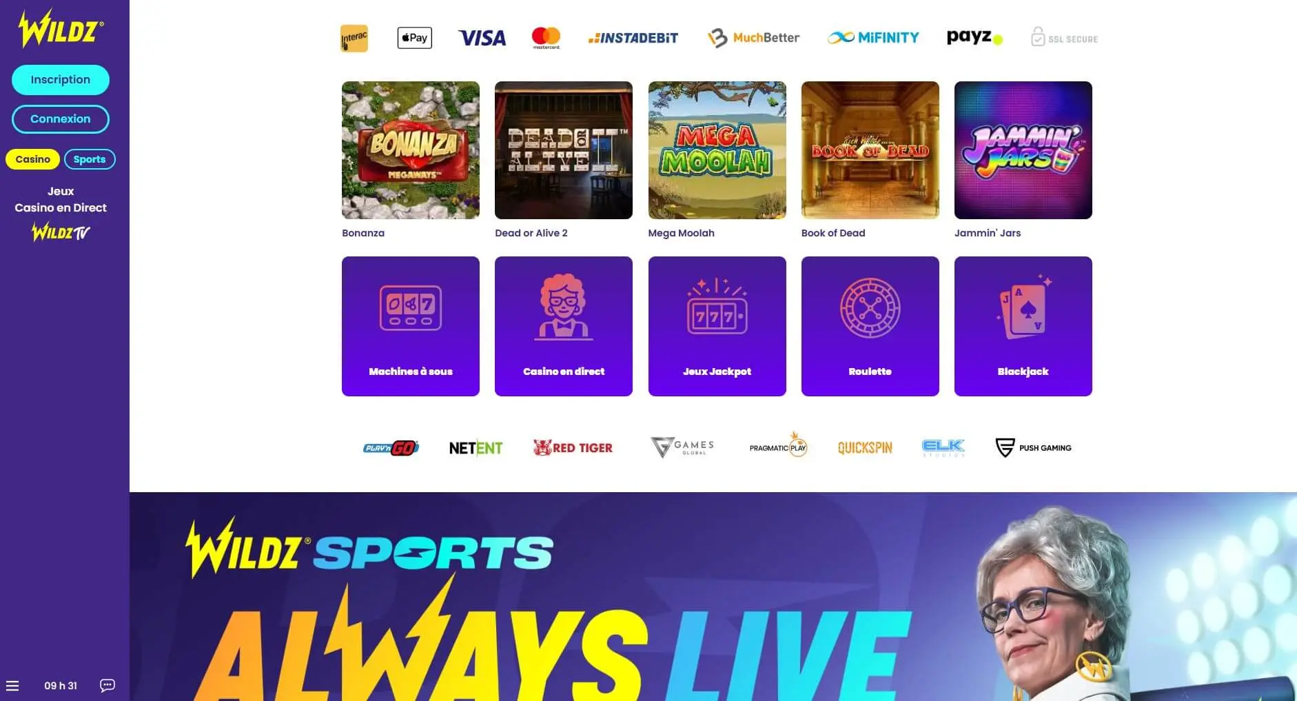 Wildz - home page.jpg