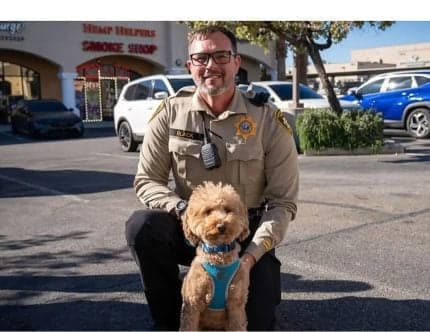 Pup Abandoned at Las Vegas Airport Adopted by Officer Who Rescued Him