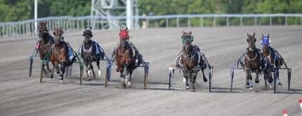 Locals Fight To Save Rideau Carleton Raceway