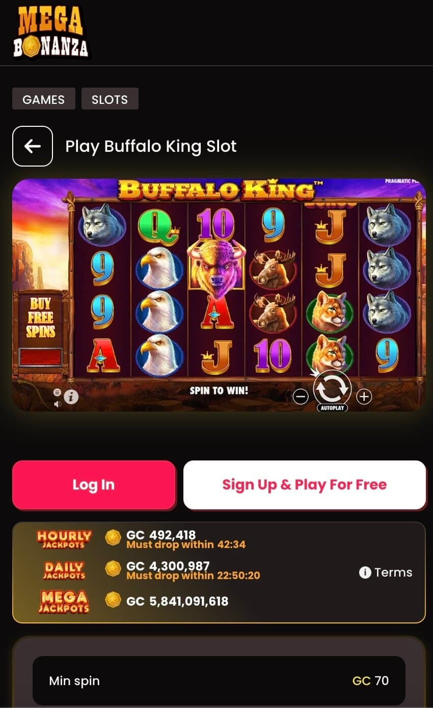 Mega Bonanza Casino Review for 2025 Expert analysis