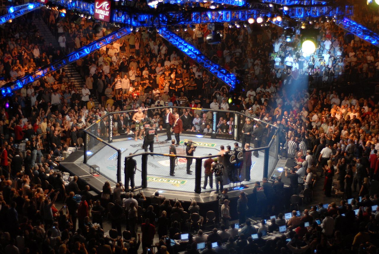 UFO Octagon