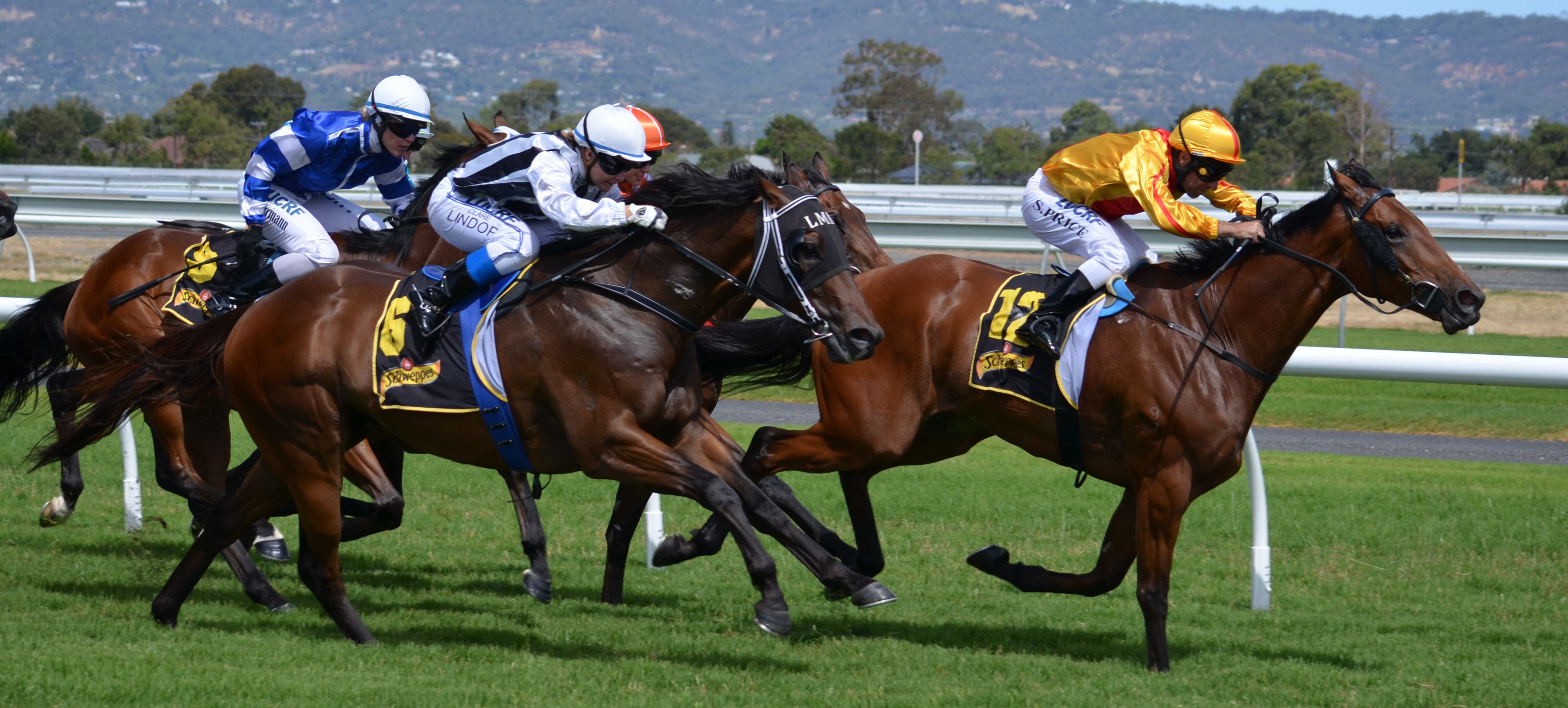 The Top 10 Horse Jockeys Of All Time Blog