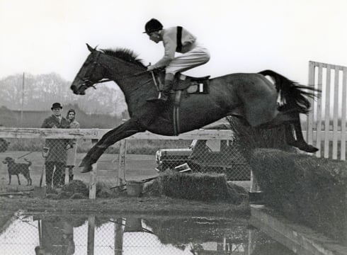 Arkle was a three-time Cheltenham Gold Cup Winner
