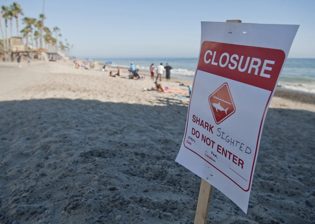 Closure sign warning people about the shark-infested waters