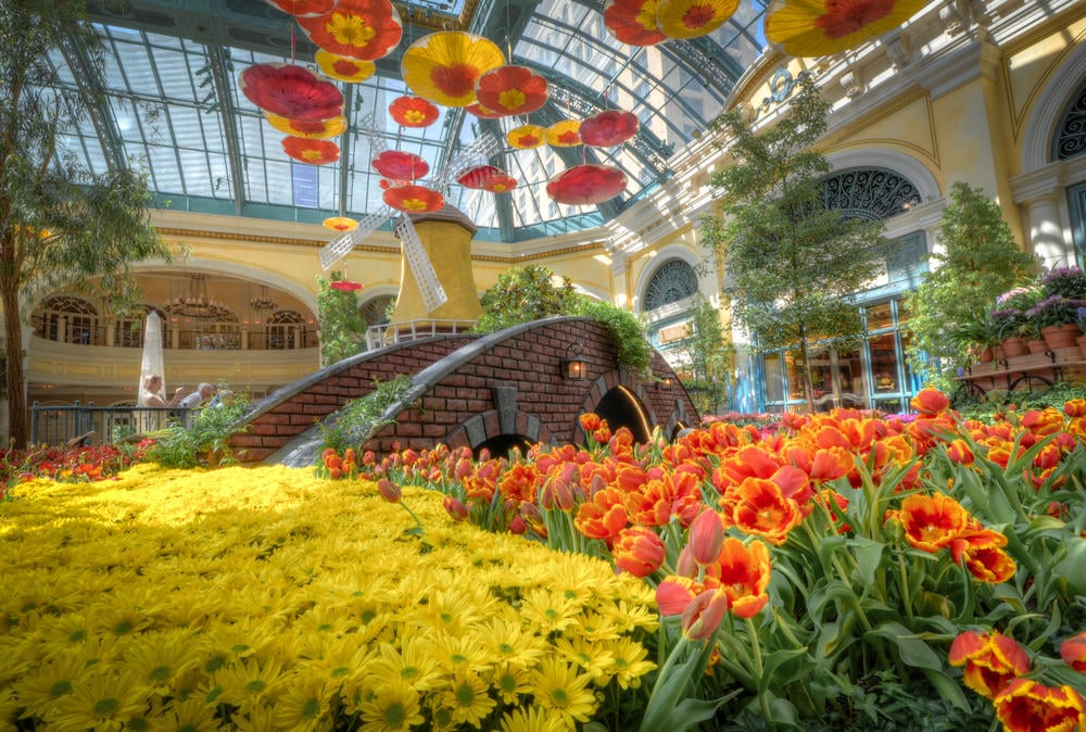 A shot of a blissful flower display inside the Bellagio