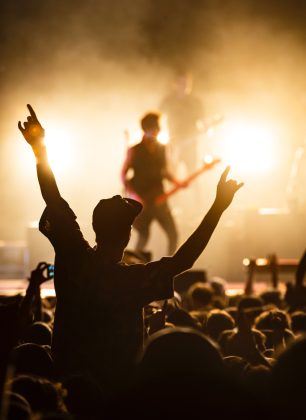 Concert Goers Budgets