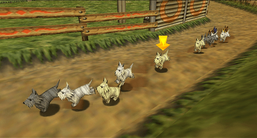 Dog racing that you could bet on in previous Zelda games