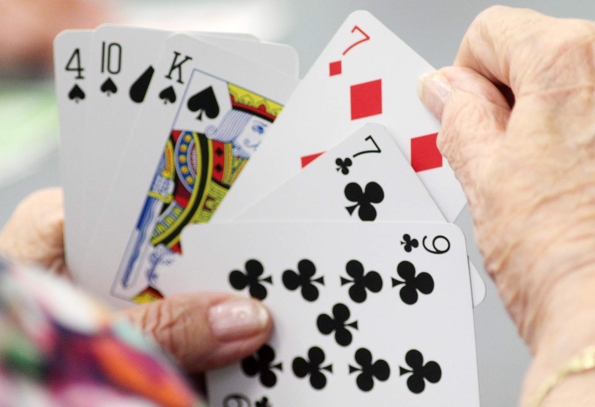 playing Bridge (Source: tbo.com)