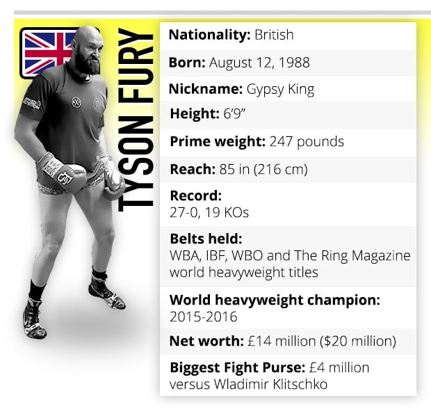 Tyson Fury boxer profile