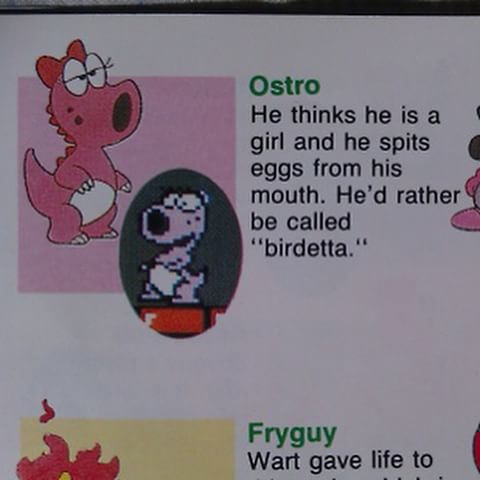 An LGBT character from Super Mario Bros 2