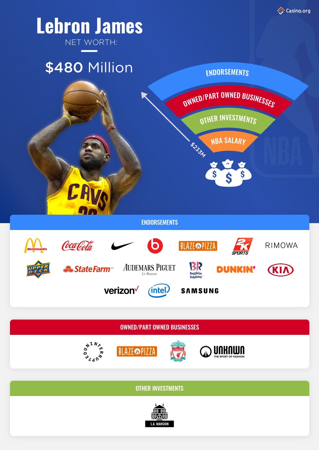 Lebron James infographic