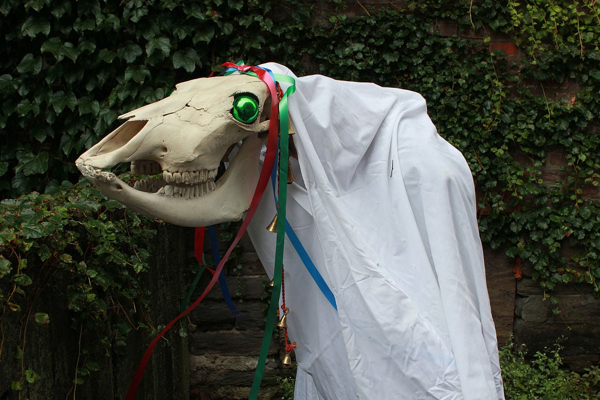 Mari Lwyd - tradisi Welsh