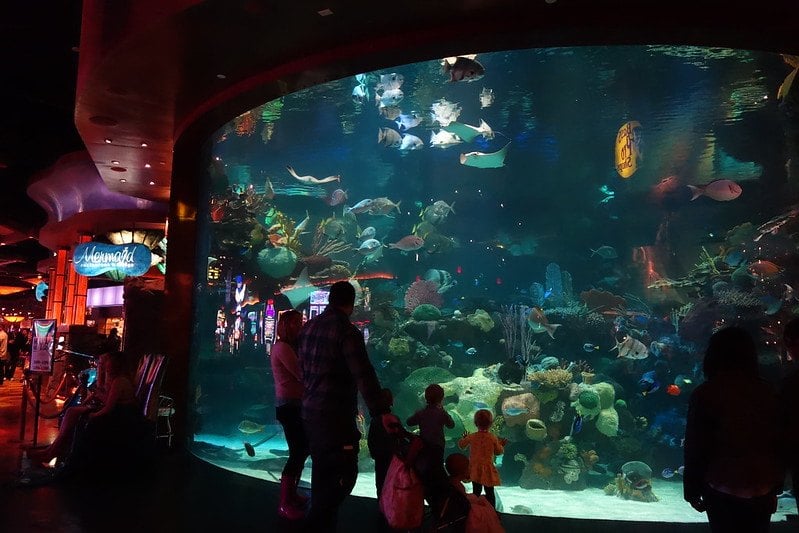 The Aquarium at the Silverton Casino Lodge in Vegas