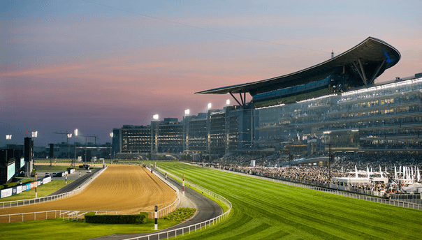 Meydan racecourse