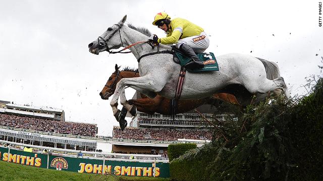 What’s the Deal with Grey Horses? Why Only 3 Have Won a Grand National