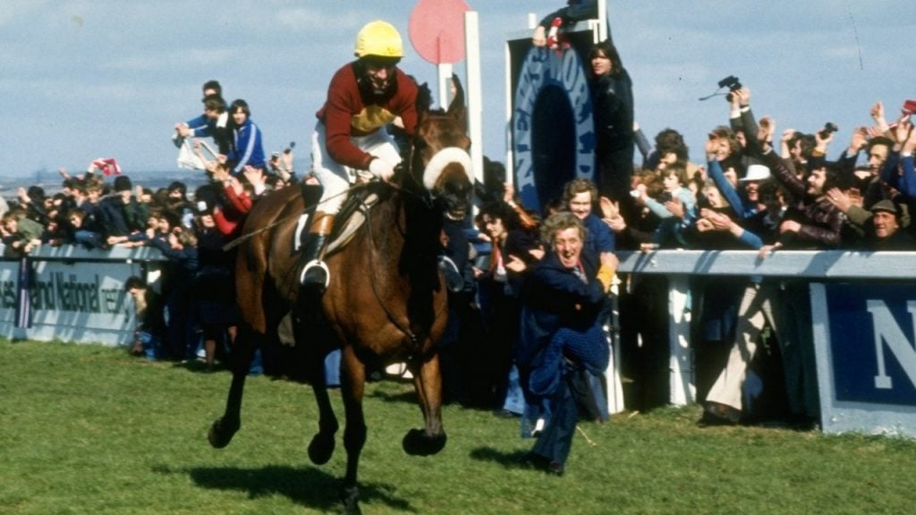 Red Rum dominated the Grand National to reach stardom 