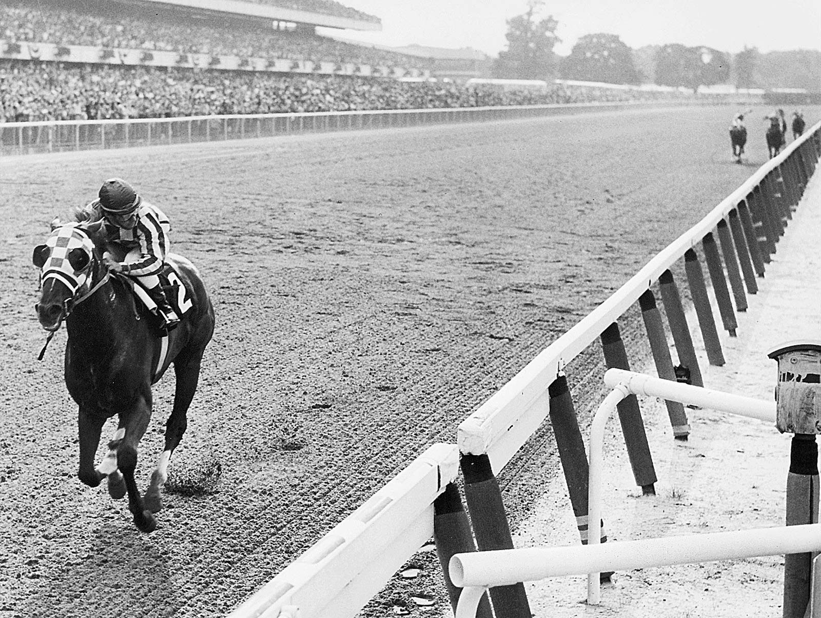 Who is the most famous racehorse of all time