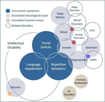 The typical symptoms of autism