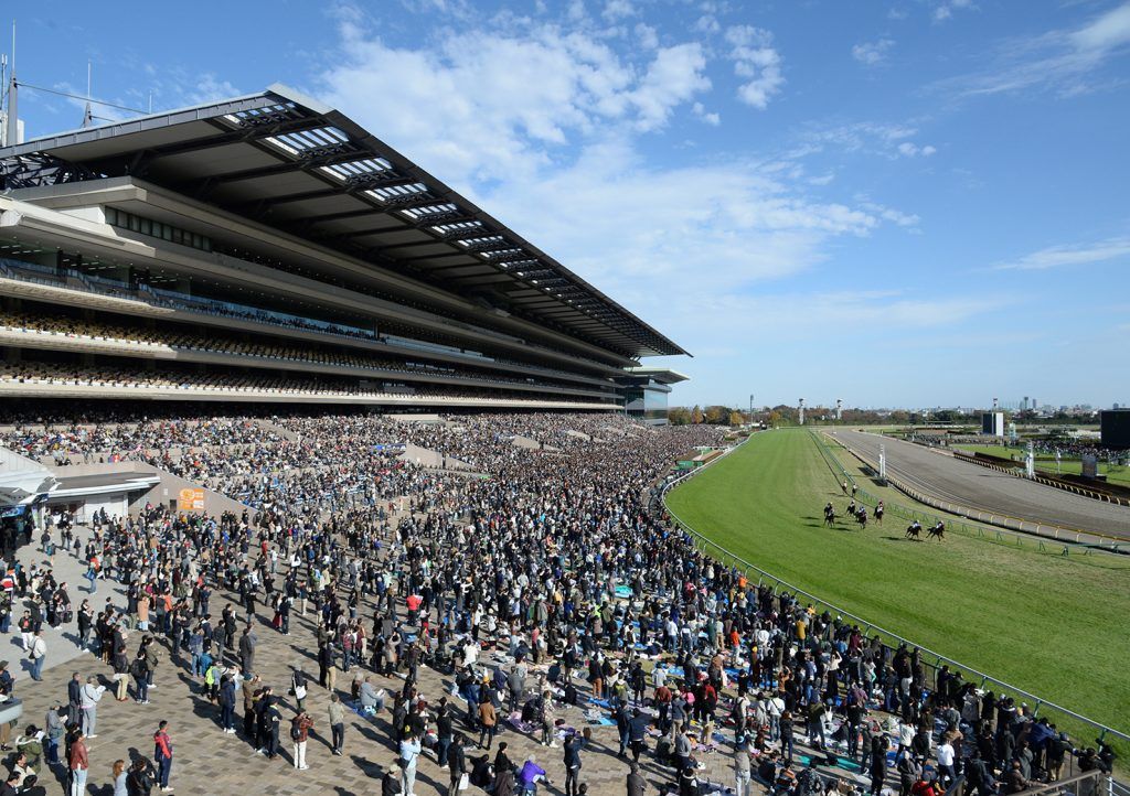 Tokyo racecourse