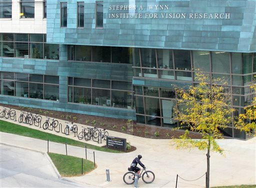 The Institute for Vision Research named after Steve Wynn