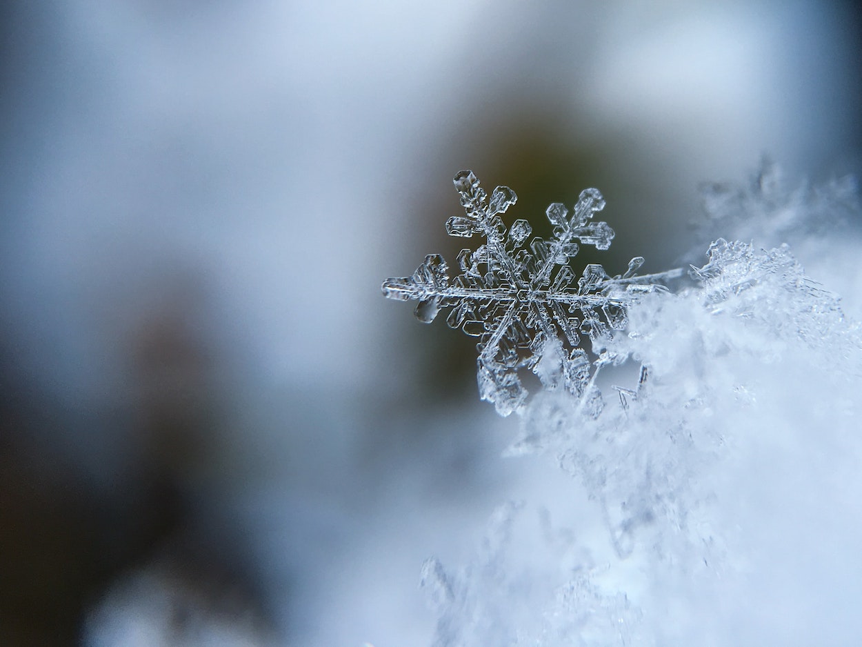 snow flake close up