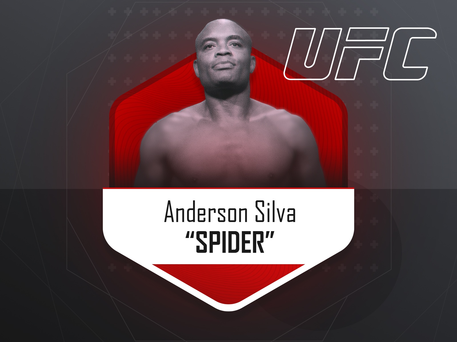 Anderson Silva - UFC fighter