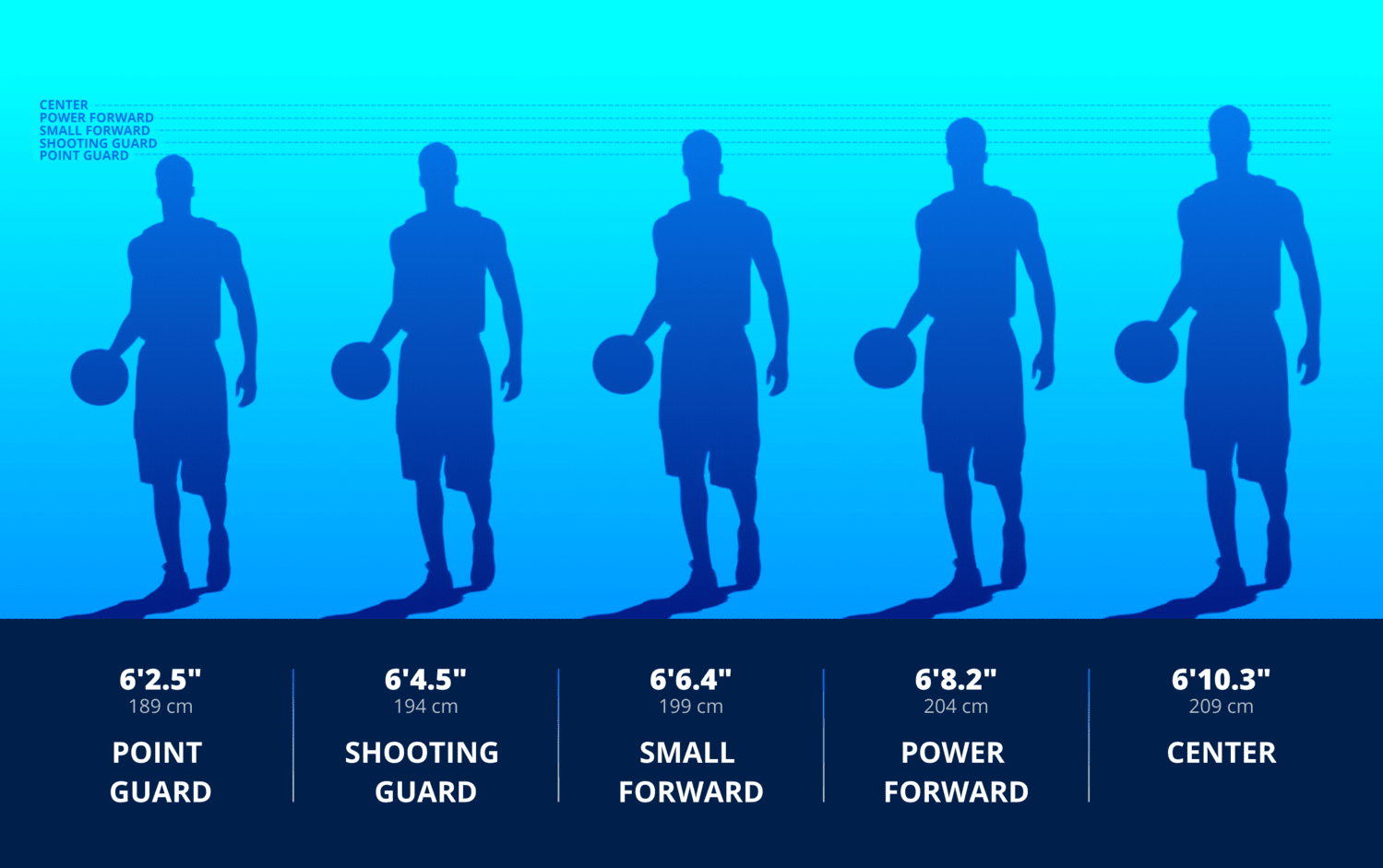 Graph showing average NBA height of players by position 