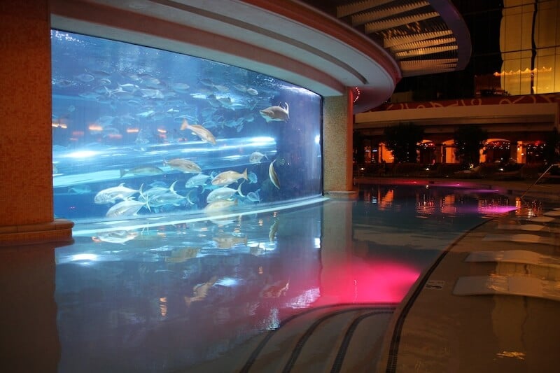 Tank di Golden Nugget Hotel