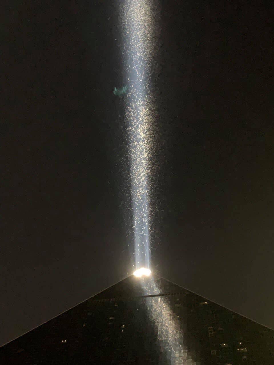 Grasshopper swarm - Luxor sky beam
