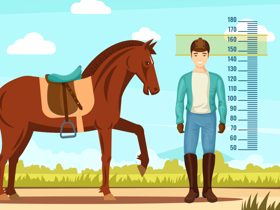 Jockey Ladies Size Chart