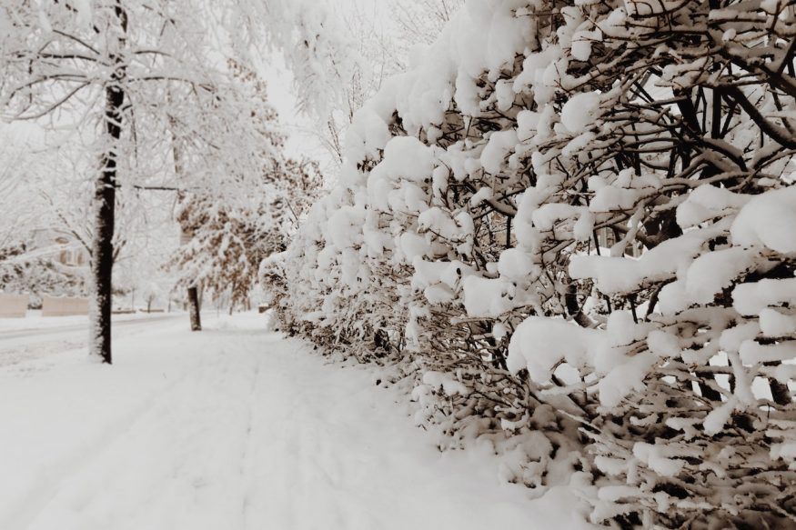 What Are The Odds Of A White Christmas In The UK?