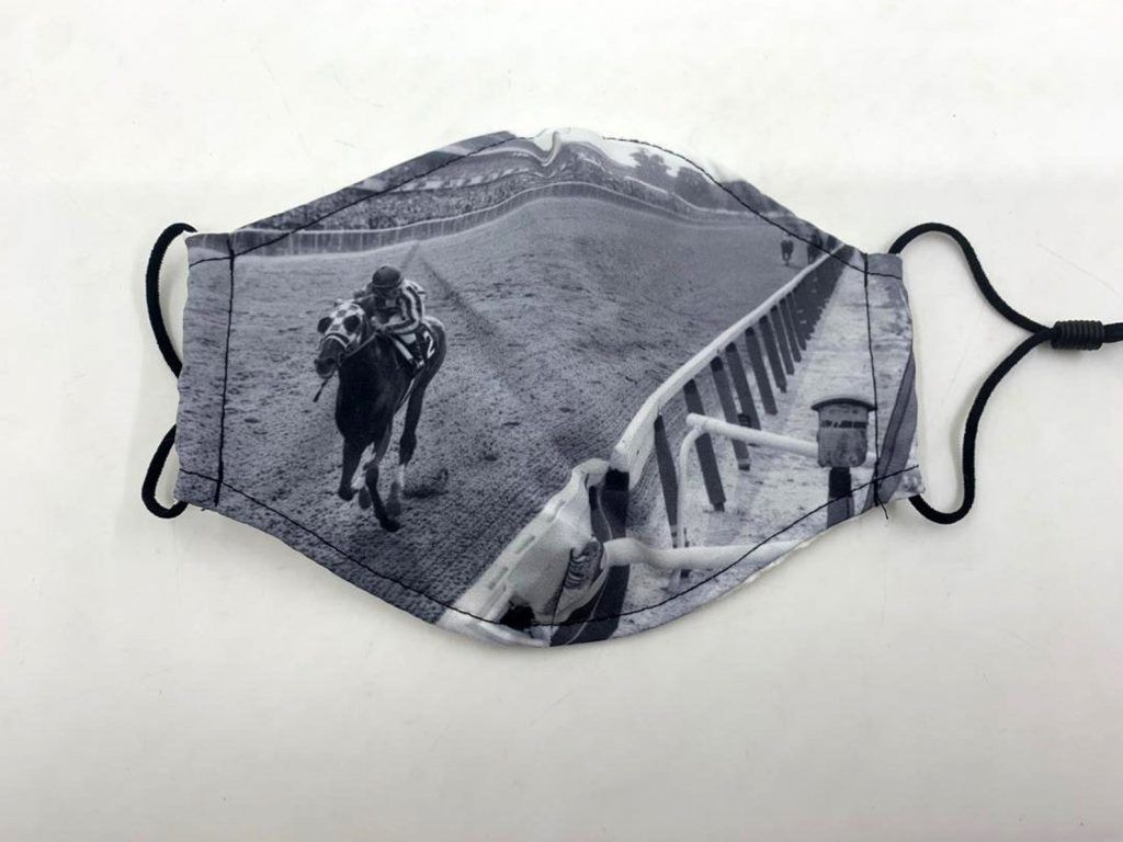 Secretariat face mask