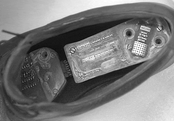 Roulette Shoe Computer